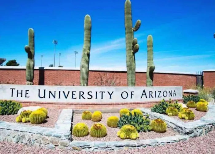 Pool, 2 Bedroom 2 Ba, Patio, Near Jw Marriott Tucson